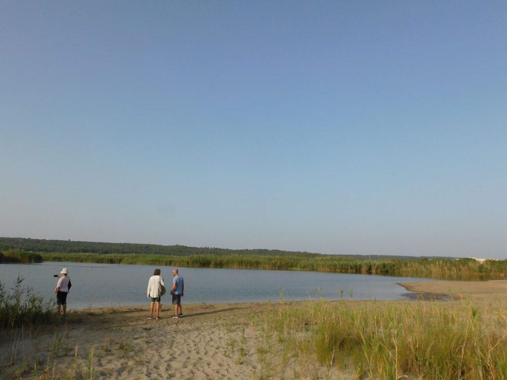 Esplorando_nel Parco Naturale Regionale Litorale di Ugento_ trekking guidato gratuito offerto da Lido Pineta_19 giugno _Escursione intorno ai Bacini bacini,parco