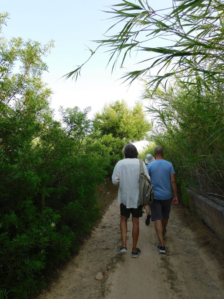 Esplorando_nel Parco Naturale Regionale Litorale di Ugento_ trekking guidato gratuito offerto da Lido Pineta_19 giugno _Escursione intorno ai Bacini bacini,parco