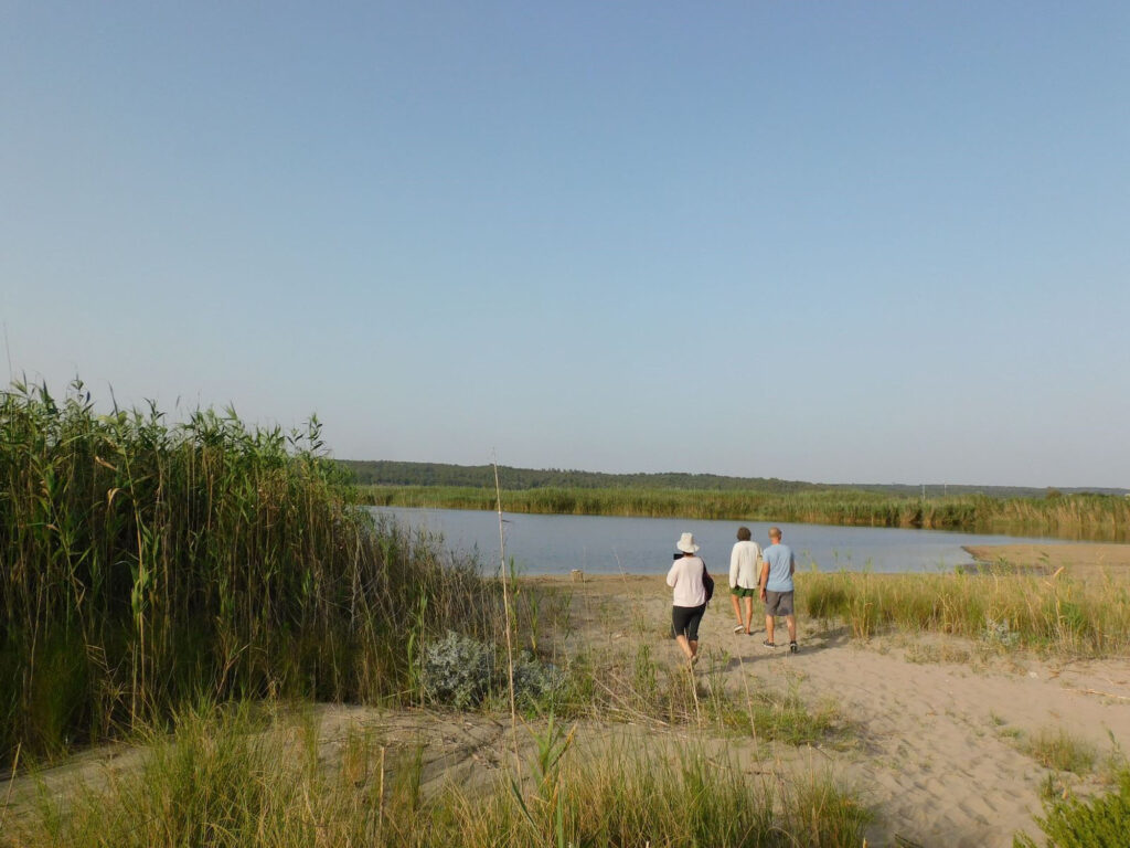Esplorando_nel Parco Naturale Regionale Litorale di Ugento_ trekking guidato gratuito offerto da Lido Pineta_19 giugno _Escursione intorno ai Bacini bacini,parco