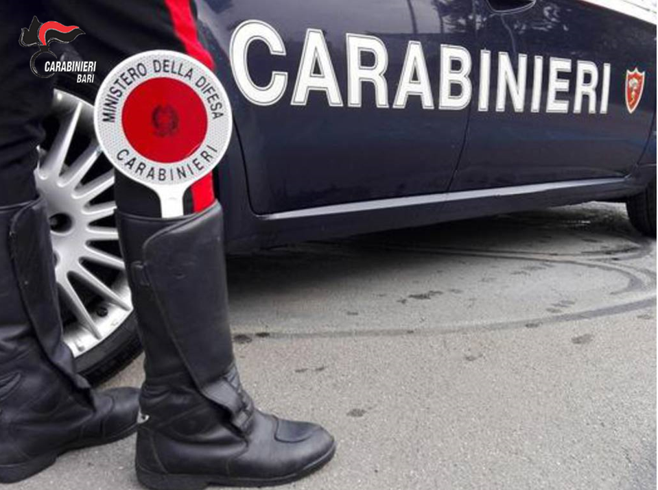 18 luglio 2024 - Carabinieri sezione di PG Bari - Esecuzione provvedimenti giudiziari del Tribunale di Bari sul territorio nazionale