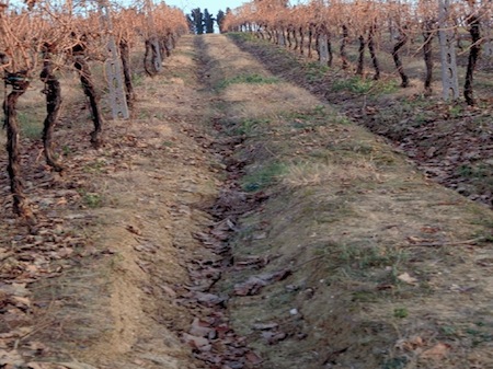 desertificazione-