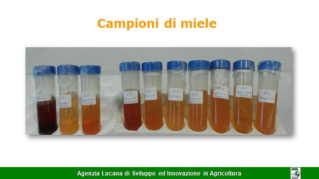 ALSIA podcast, Determinazione dell’origine botanica del miele miele