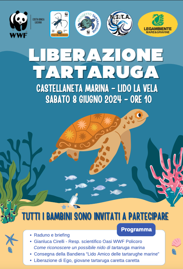Castellaneta Marina amica delle tartarughe marine. tartarughe