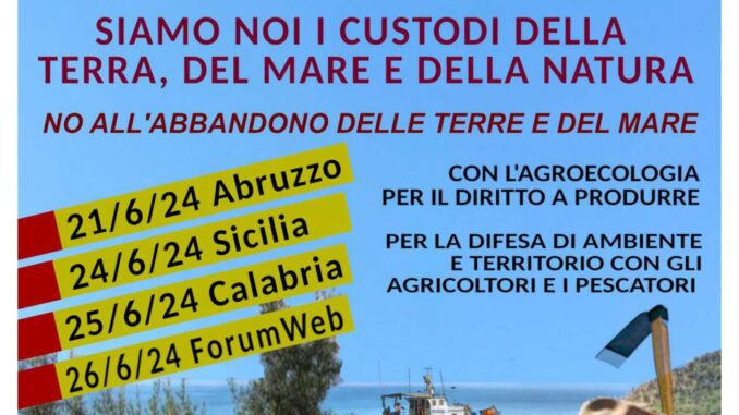 siamo