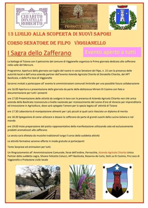 Viggianello. 1° Sagra dello Zafferano zafferano