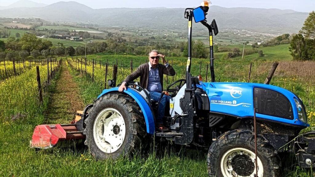 Uve rare del casertano: un progetto di valorizzazione progetto