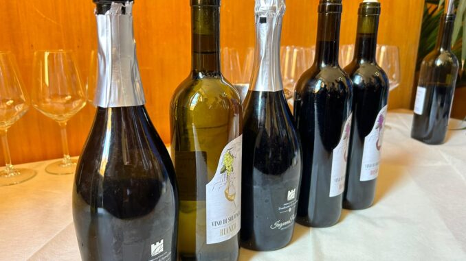 bottiglie-uve-rare-foto