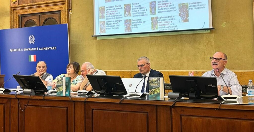 Uve rare del casertano: un progetto di valorizzazione progetto