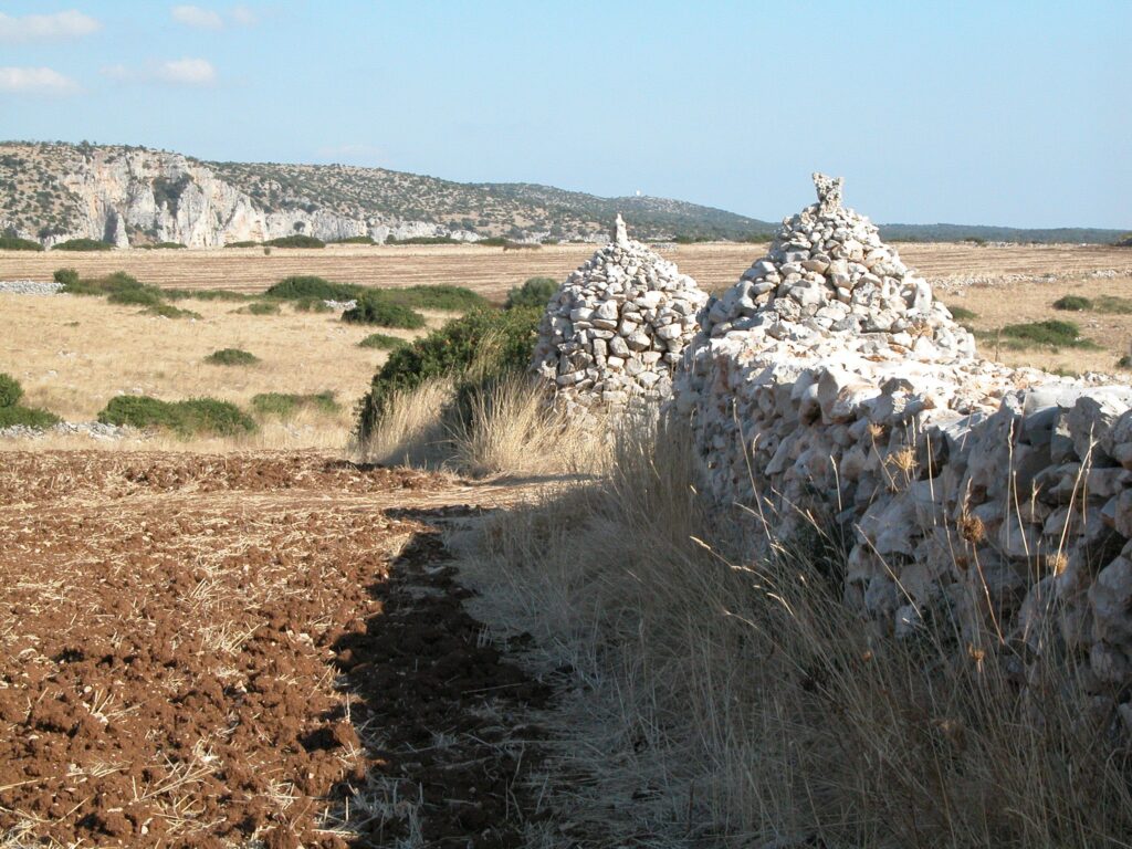 L'Ente Parco della Murgia Materana sulla questione pale eoliche parco