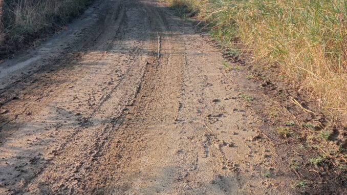 strada forenza-acerenza (1)