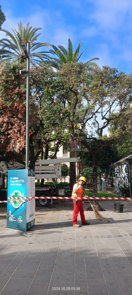RIMONDA DEL SECCO SUI LECCI DI PIAZZA UMBERTO