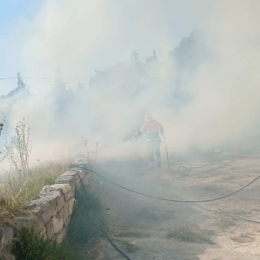 CAMPAGNA AIB, NESSUN INCENDIO PER IL TERZO ANNO CONSECUTIVO
