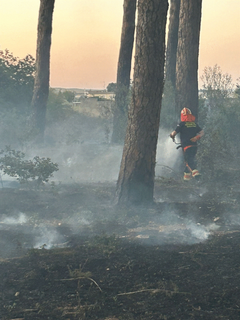 CAMPAGNA AIB, NESSUN INCENDIO PER IL TERZO ANNO CONSECUTIVO