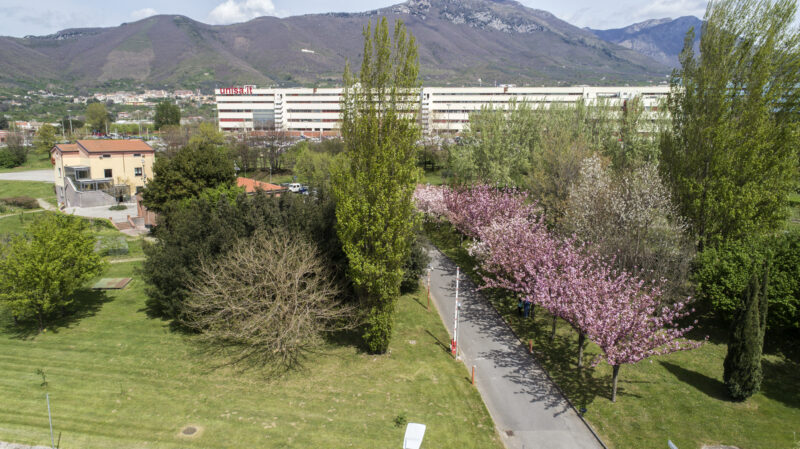 VERDE URBANO: TUTELA E SALVAGUARDIA DELL’AMBIENTE. Cerimonia di chiusura Corso sulla gestione degli alberi per il verde urbano all'Osservatorio dell'Appennino Meridionale