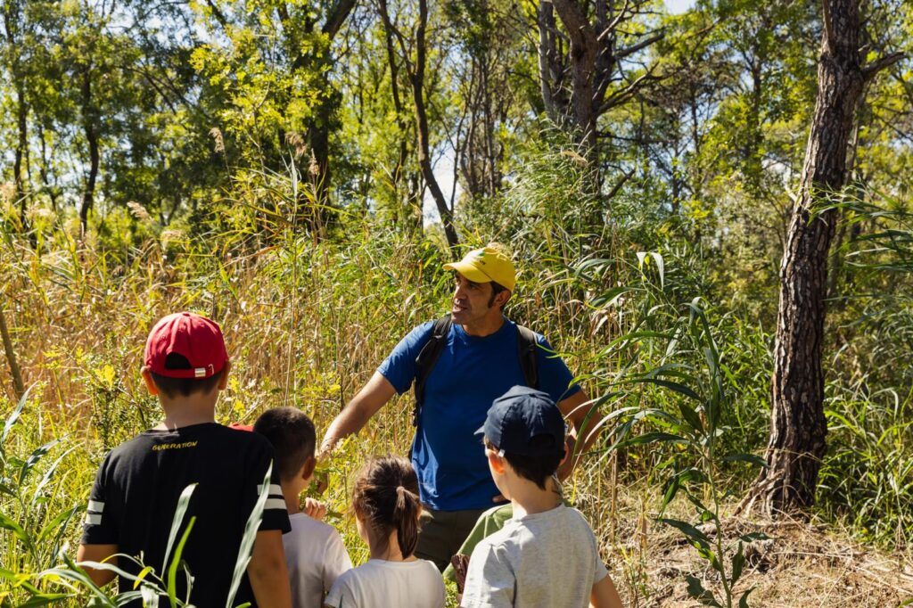 Bilancio Attività "Ultima foresta incantata" foresta