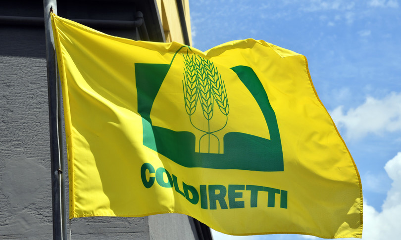 Siccità ed emergenza cinghiali: Coldiretti Basilicata chiede convocazione del Tavolo Verde emergenza
