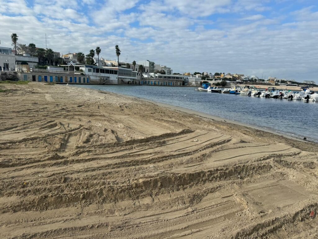 ESEGUITA PULIZIA STRAORDINARIADELL’ARENILE DEL PORTO DI TORRE A MARE