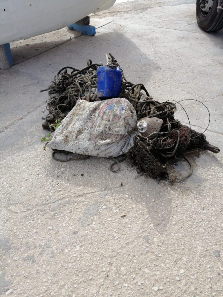 ESEGUITA PULIZIA STRAORDINARIADELL’ARENILE DEL PORTO DI TORRE A MARE