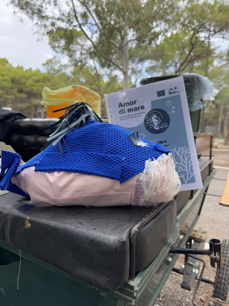Studenti in prima linea per la pulizia della spiaggia libera di Policoro (MT).