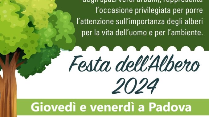 Immagine_20_11_2024