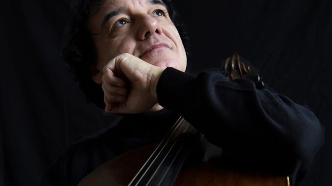 M.Forte_violoncello