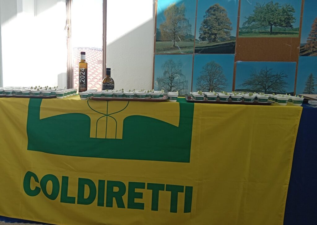 Coldiretti: studenti materani a lezione su come come conoscere e riconoscere un olio Evo di qualità