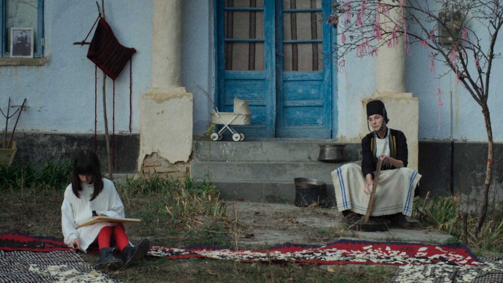 TARANTO ECO FILM FESTIVAL 17 – 21 novembre 2024 – Teatro Fusco, Taranto