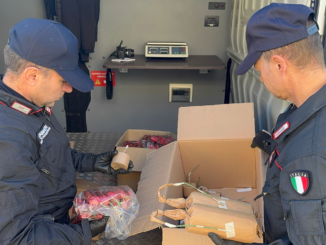 ALTAMURA: maxi sequestro di fuochi d’artificio. Due arresti. altamura