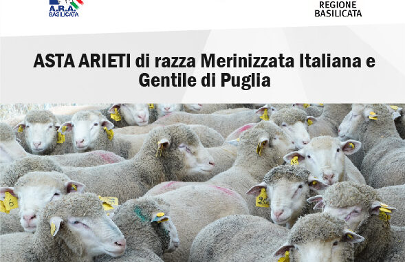 ASTA_ARIETI_12-12-24_Laurenzana (1) (1)