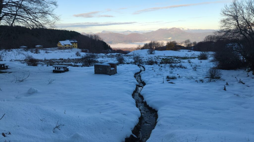 Pollino