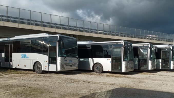 autobus_cotrab