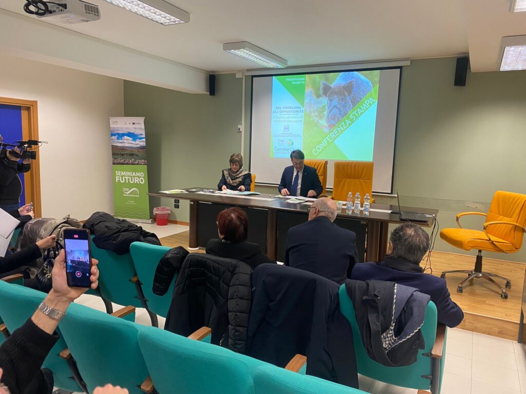 Cicala: diventa realtà la filiera del cinghiale