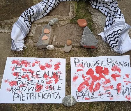 palestina 5