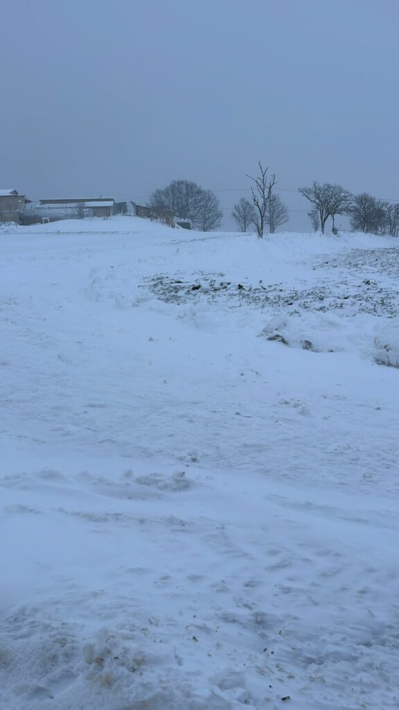 Nevicate: monitoraggio Cia-Agricoltori Potenza-Matera