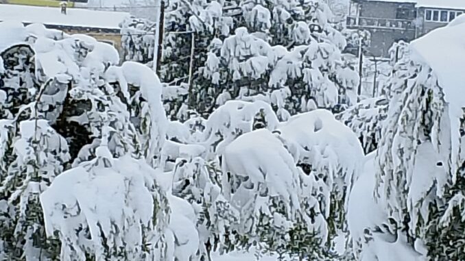 aziende agricole neve