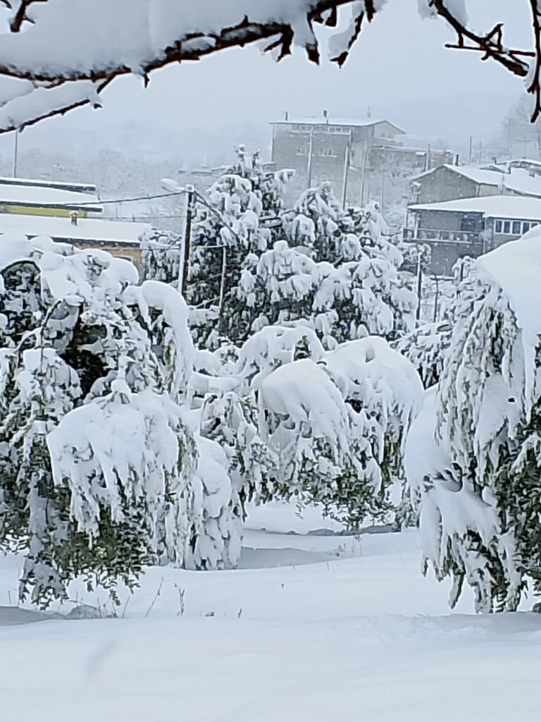 Nevicate: monitoraggio Cia-Agricoltori Potenza-Matera