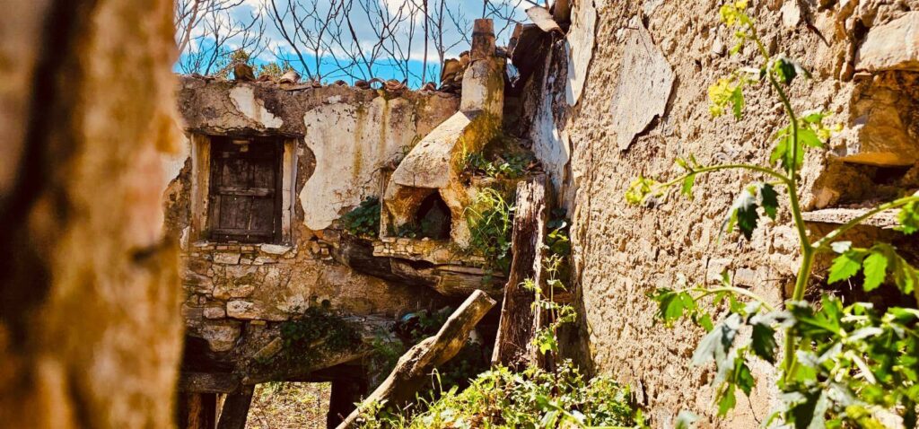 PROGETTO ECO SCHOOLS: IN PIENA ATTUAZIONE IL PROGETTO PER CONDURRE LE FAMIGLIE ALLA SCOPERTA DELLA BIODIVERSITÀ E DELL’IMPORTANZA DI UN’ALIMENTAZIONE SANA E SOSTENIBILE