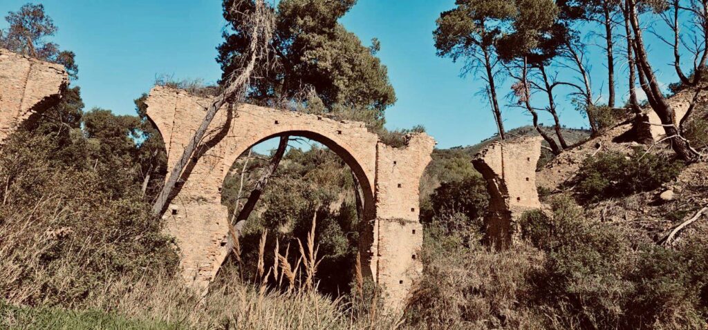 PROGETTO ECO SCHOOLS: IN PIENA ATTUAZIONE IL PROGETTO PER CONDURRE LE FAMIGLIE ALLA SCOPERTA DELLA BIODIVERSITÀ E DELL’IMPORTANZA DI UN’ALIMENTAZIONE SANA E SOSTENIBILE