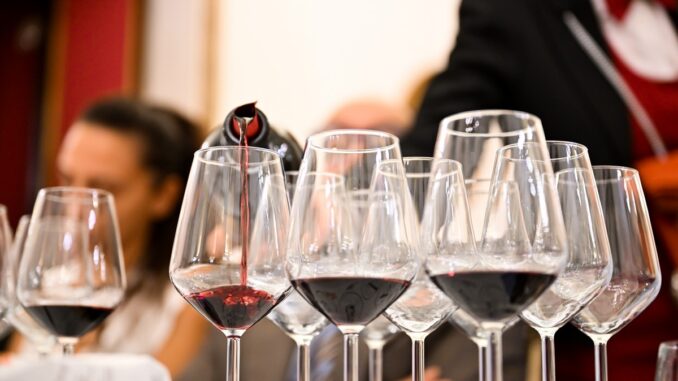 alla-scoperta-del-primitivo-di-manduria-031 (1)