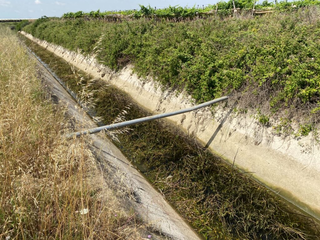 Taranto, crisi idrica e stagione irrigua alle porte. Cia Due Mari: “Siamo molto preoccupati”