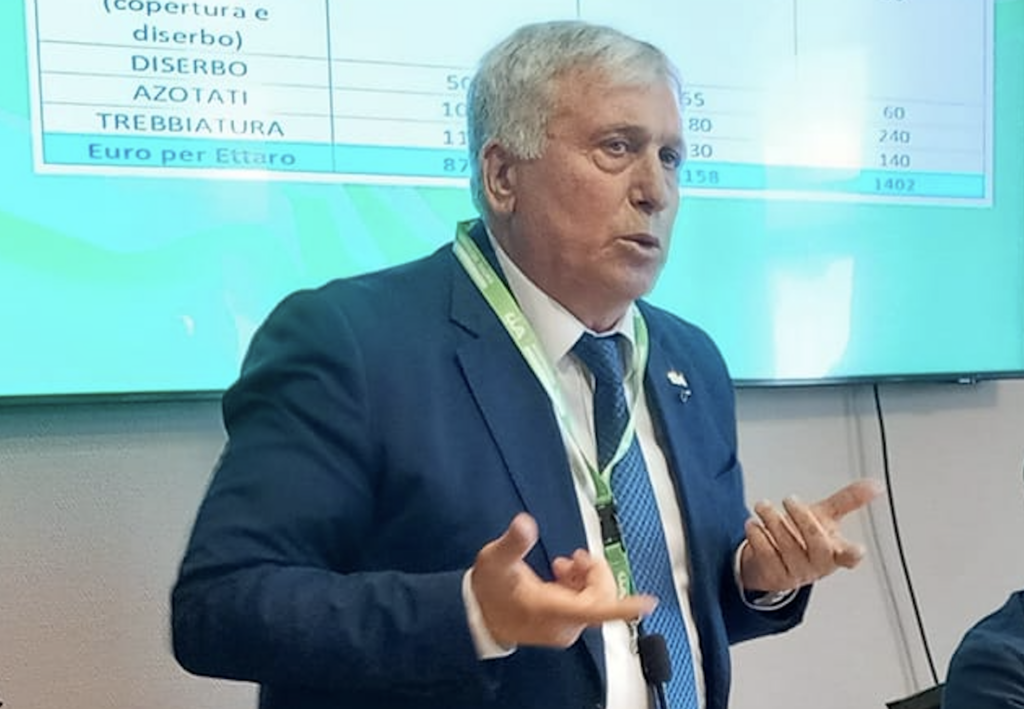 Grano duro, crollo quotazioni. Cia Puglia: “Rischio fallimento per la cerealicoltura