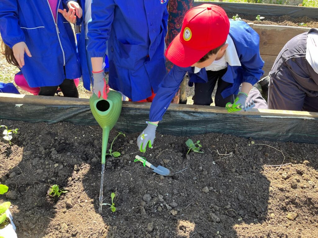 Educare i più piccoli per un futuro più sostenibile grazie ai laboratori di orticoltura di Noi Ortadini nelle scuole d’infanzia e primarie di Matera