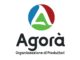 geova