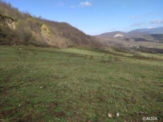 Fida Pascolo: disponibili 71 ettari di terreno dell'ALSIA in agro di Abriola (PZ)