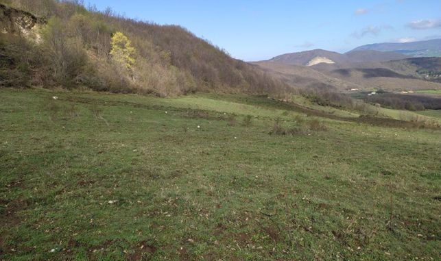 notizia Bando fida pascolo 14_4_2025