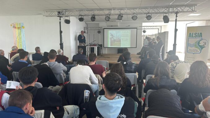 seminario alsia