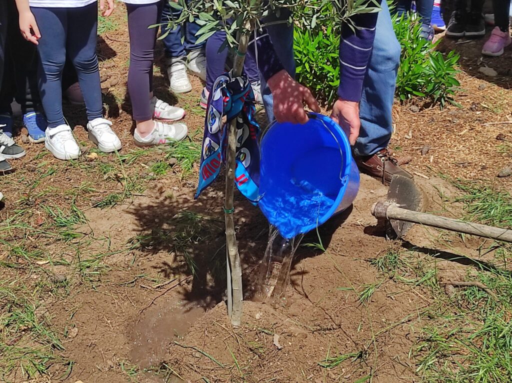 A Taranto le radici della parità si piantano tra i banchi di scuola