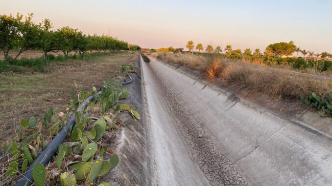 Ultime notizie Basilicata Matera Potenza Bari Foggia