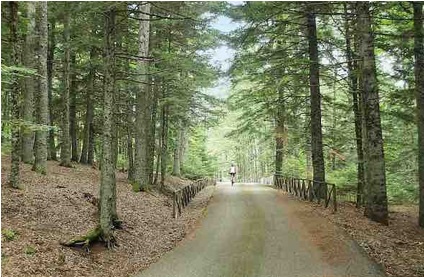 La Basilicata seconda al Green Road Award, Oscar del Cicloturismo