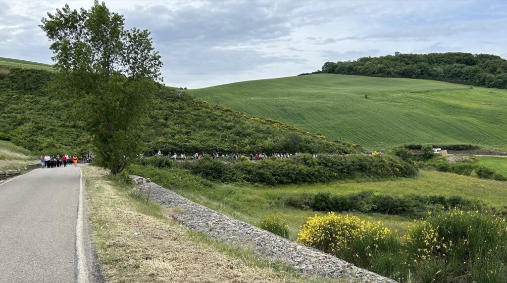 Deliceto in processione nel verde delle campagne per la Madonna dell’Olmitello